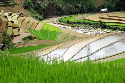 Beautiful picture in cultivation season in mountainous area